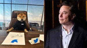 elon-musk-introduces-new-twitter-ceo